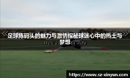 足球陈码头的魅力与激情探秘球迷心中的热土与梦想